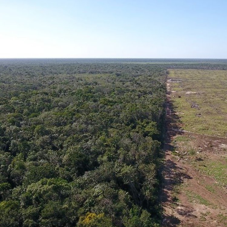 Stichting ITCF in Belize